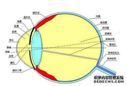 眼镜加盟,眼镜连锁,眼镜品牌